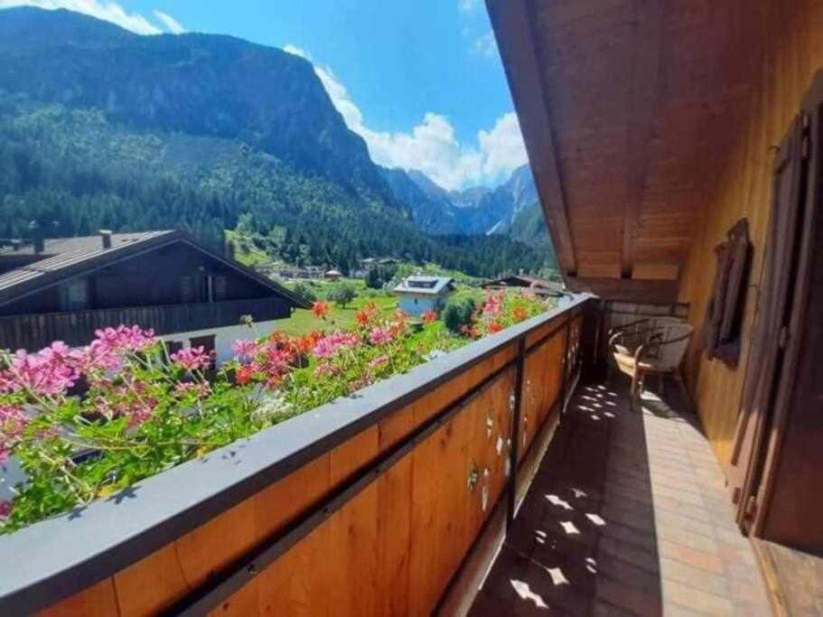 Appartamento La Mansarda In The Dolomites Jacuzzi Santo Stefano Di Cadore Esterno foto